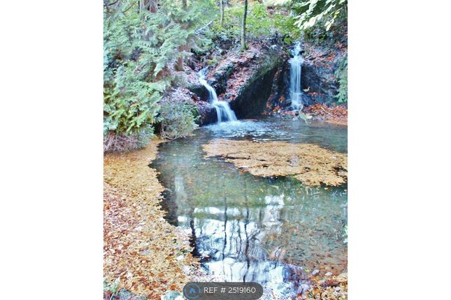 Waterfalls In Autumn