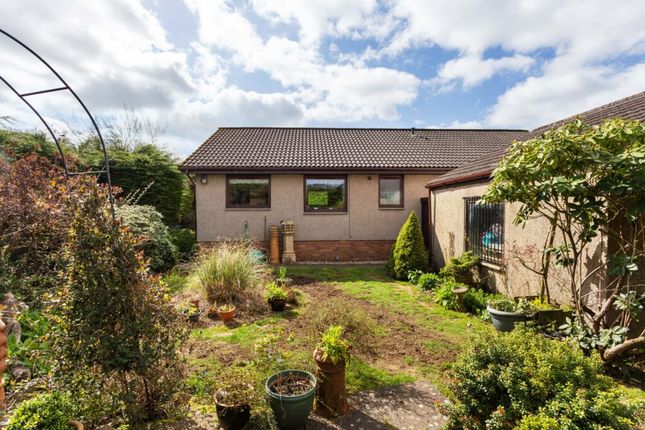 Detached bungalow for sale in Wit’S End, Avonbridge