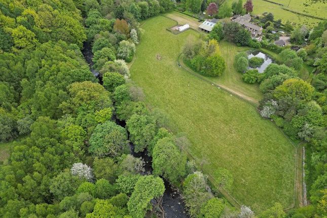 Aerial Image