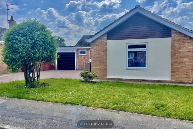 Thumbnail Bungalow to rent in Woodrow Drive, Wokingham