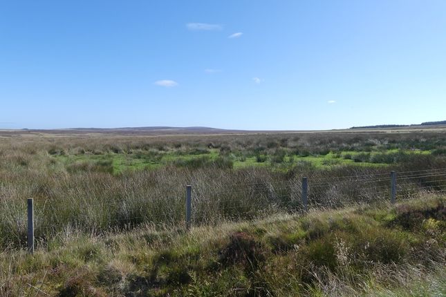Land for sale in Upper Canisbay, John O' Groats