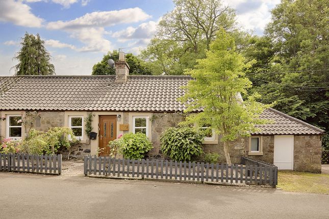 Thumbnail Semi-detached bungalow for sale in Cantyhall, Longniddry