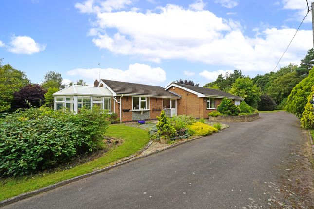 Detached bungalow for sale in Ratby Lane, Markfield, Leicestershire