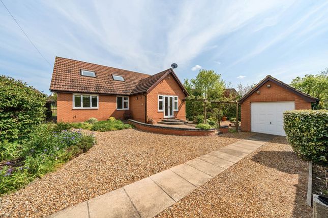 Thumbnail Detached bungalow for sale in Springfield Drive, Bromham