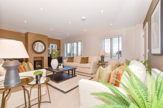 ++MP++ Plot 8 The Peony,, The Peony, Whitstable photo 4