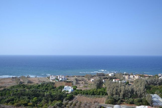 Property for sale in Pomos, Polis, Cyprus