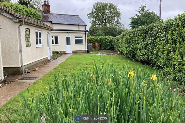 Thumbnail Semi-detached house to rent in Padley Water, Chillesford, Woodbridge