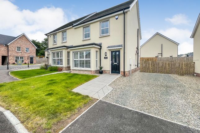 Semi-detached house to rent in Ayrshire Gardens, Lisburn