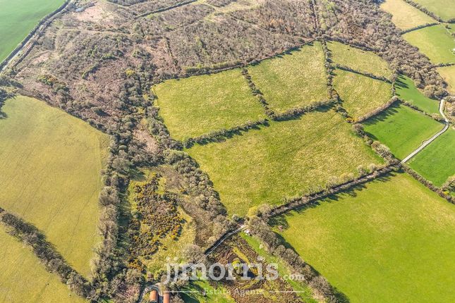 Land Formerly part of, Dolpwll, Boncath photo 3