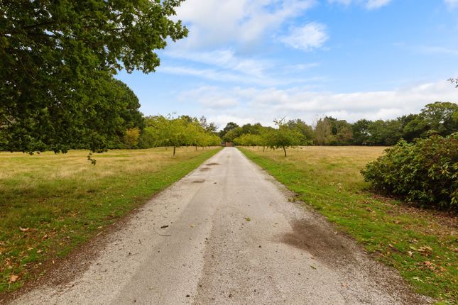 Davali House, Crow Lane, Tendring, Essex, Co16 9Ap