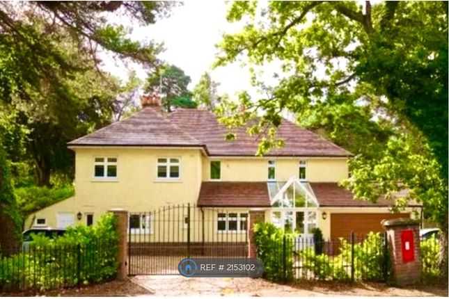 Thumbnail Detached house to rent in Dunyeats Rd, Poole