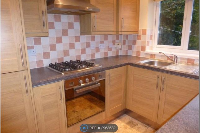 Mapledene Road, Birmingham photo 4
