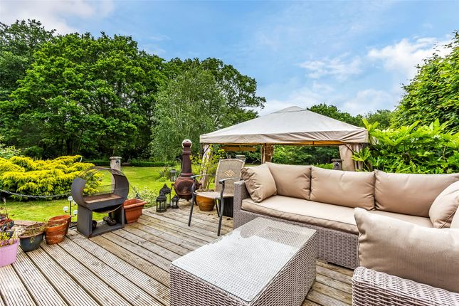 Lyne Lodge,, Rusper Road, Dorking photo 5