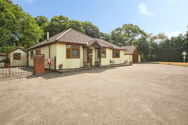 3-bed house on Elm Cottage,, Fen Street, Diss, £850,000