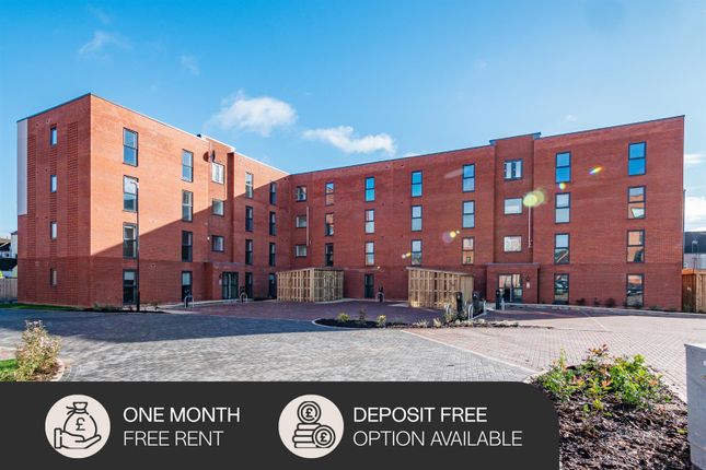 Paragon Park - 1Mfr &amp; Deposit Free .Png