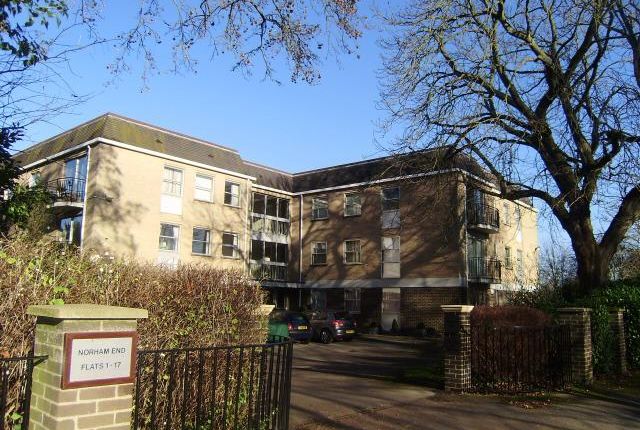 Thumbnail Flat to rent in Norham End, Oxford