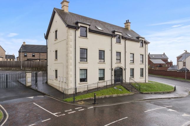 Thumbnail Flat to rent in Lady Wallace Crescent, Lisburn