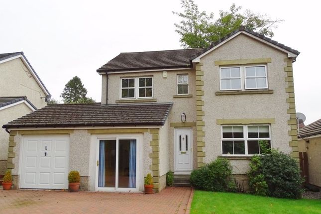 Thumbnail Detached house for sale in Andrew Hardie Drive, Alloa