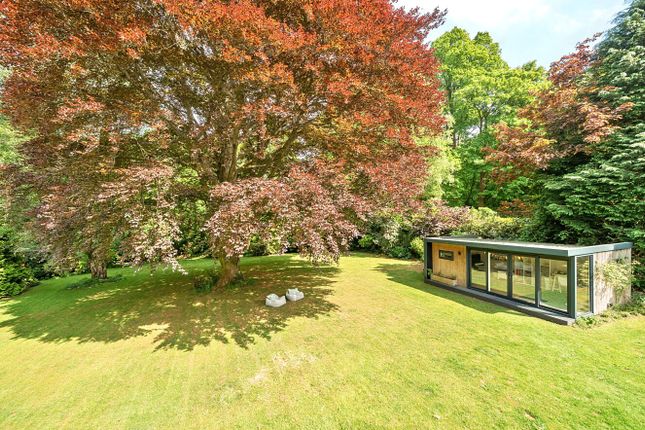 5, Star Hill Drive, Farnham photo 3