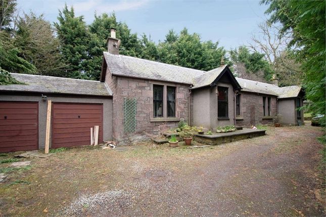 Thumbnail Detached bungalow for sale in Stracathro, Brechin, Angus