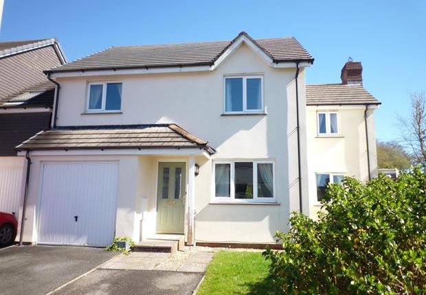Thumbnail Detached house to rent in Halwill Meadow, Halwill Junction
