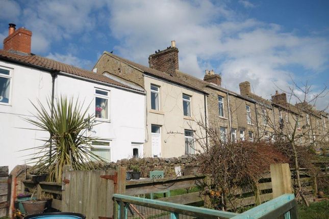 Homes To Let In Tow Law Rent Property In Tow Law Primelocation