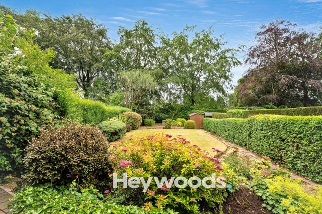 67 Chester Crescent, Newcastle photo 2