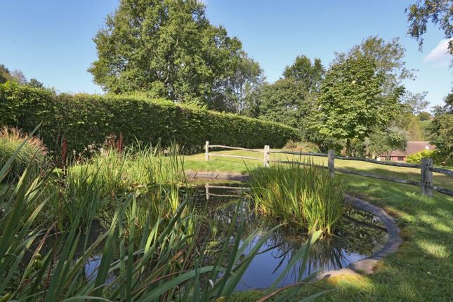 Dorneywood,, Isenhurst, Heathfield photo 4