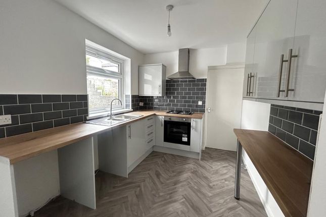 14 Blaen Nant, Swiss Valley photo 5