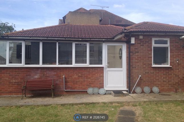 Thumbnail Bungalow to rent in Uppingham Avenue, Stanmore