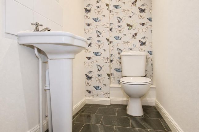 5, Thackeray, Bristol photo 4