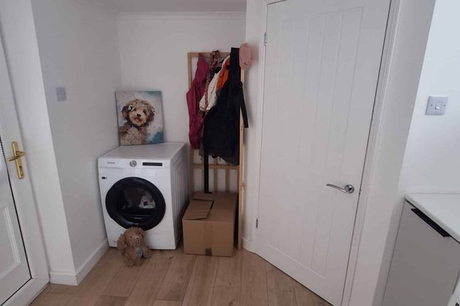 26, Hemmel Courts, Brandon photo 5