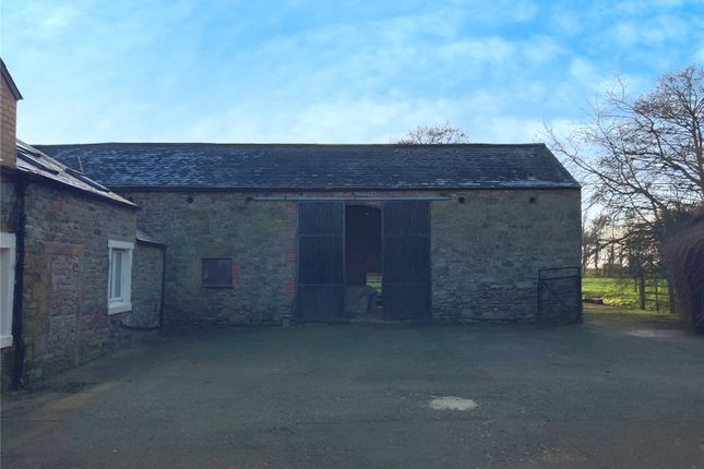 Beech House,, Seaville, Wigton photo 4