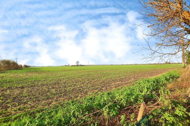 Detached house for sale in Ivychurch, Romney Marsh