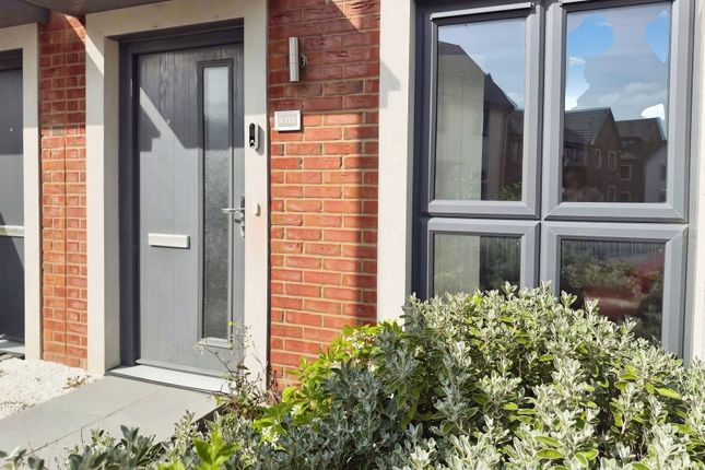 113, Waun Fawr, Swansea photo 2