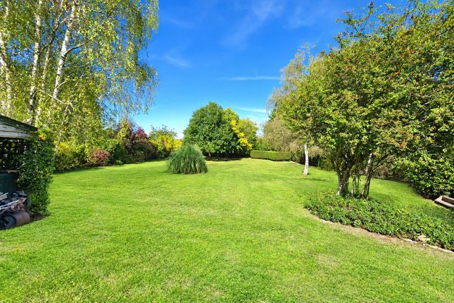 3, Red Lion Close, Sturminster Newton photo 2