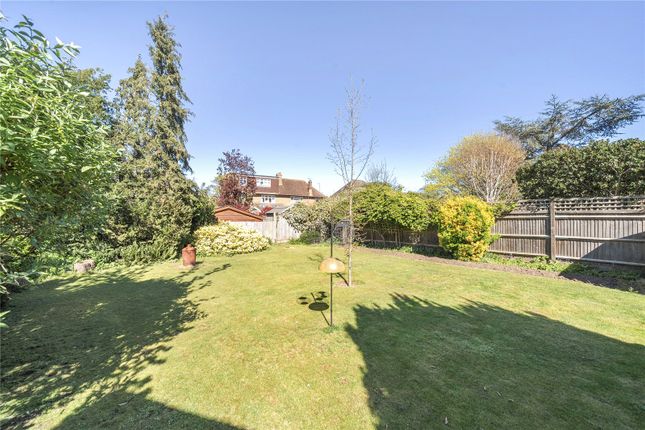 4, Lime Tree Avenue, Thames Ditton photo 4