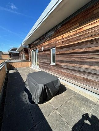 Terrace / Patio
