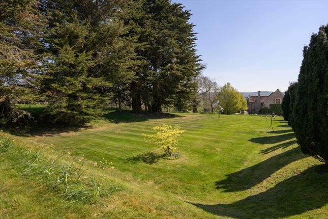 Le Frye House, Bristol photo 3