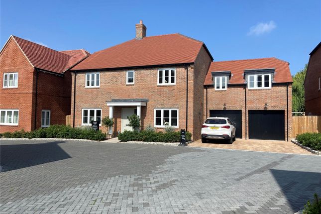 Plot 3