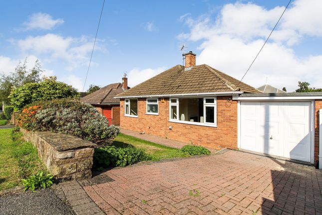 Thumbnail Detached bungalow for sale in Ramsey Avenue, Walton, Chesterfield