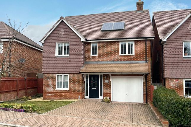 Thumbnail Detached house to rent in Kingswood Park, High Wycombe