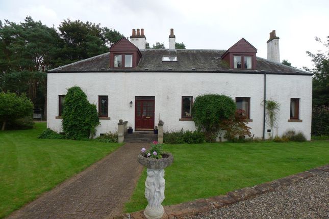Thumbnail Detached house to rent in Pinewood Lodge, St Michaels, St Andrews