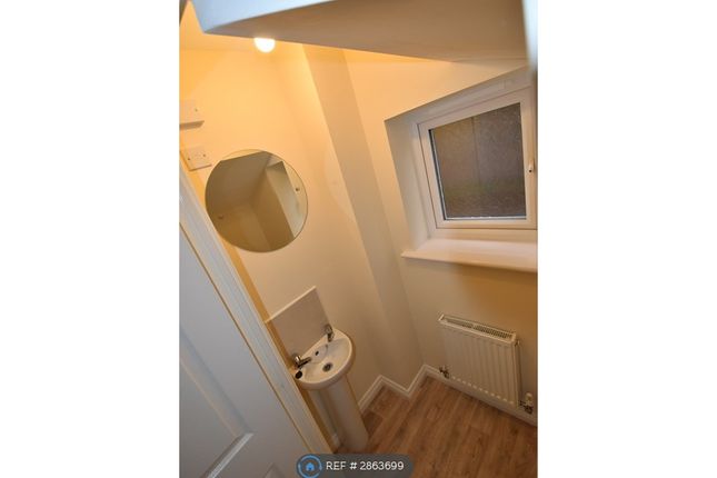 Scholars Rise, Middlesbrough photo 5