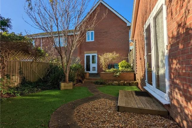 50 Snowberry Road, Snowberry Road, Newport photo 3