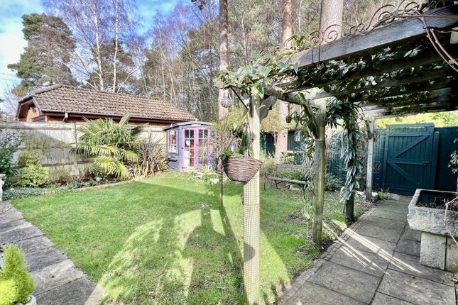 Detached bungalow for sale in The Forestside, Verwood
