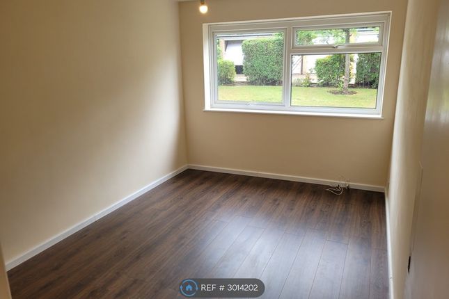 Lewins Road, Epsom photo 4