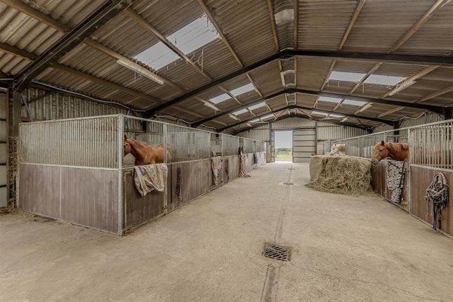 Tunstall Sytch Farm, Dilhorne Road, Staffordshire photo 3