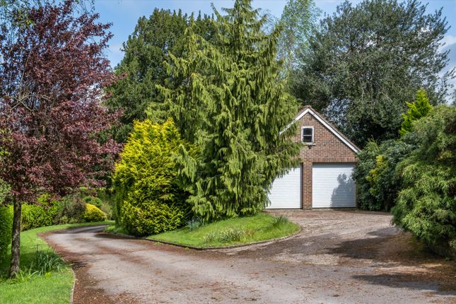 Semi-detached house for sale in Chichester Road, Midhurst, West Sussex
