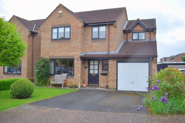 Thumbnail Detached house for sale in Maple Close, Brigg, Brigg
